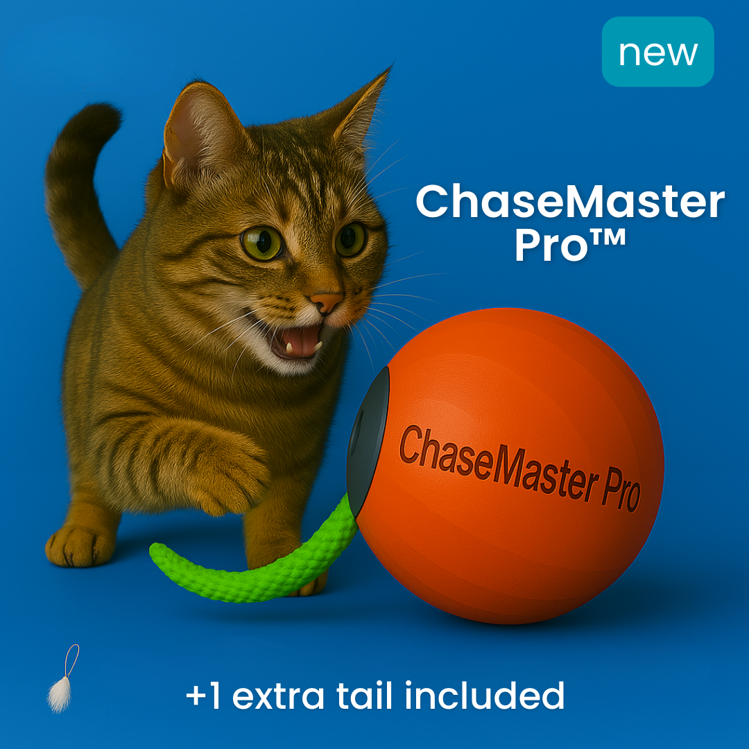 ChaseMaster Pro™ | Unleash endless fun for every cat