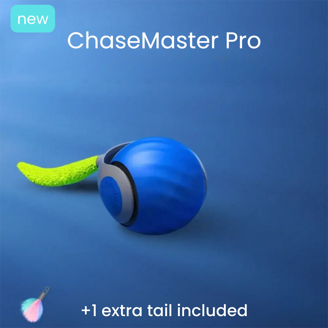 ChaseMaster Pro™ | Unleash endless fun for every cat