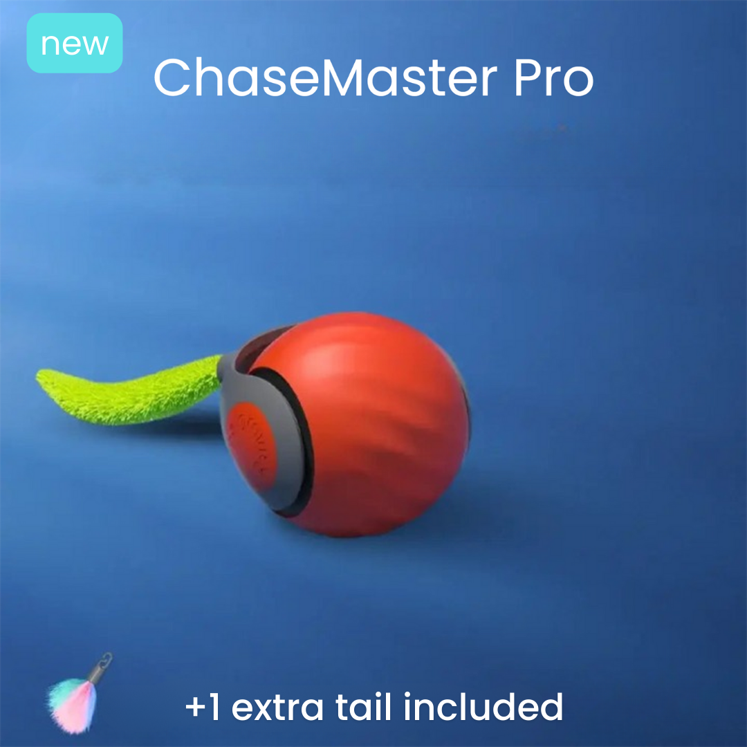 ChaseMaster Pro™ | Unleash endless fun for every cat