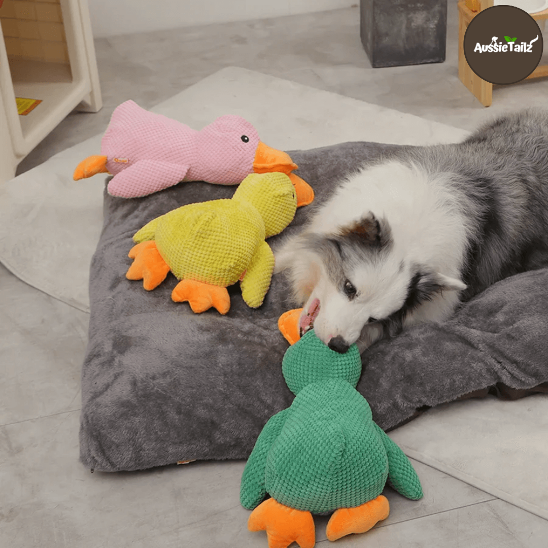 Quackie™ | The calming duck that melts stress away
