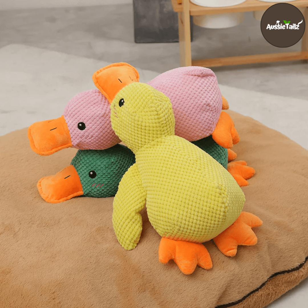 Quackie™ | The calming duck that melts stress away