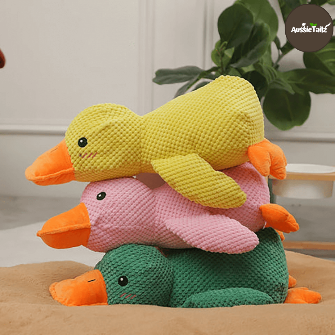 Quackie™ | The calming duck that melts stress away