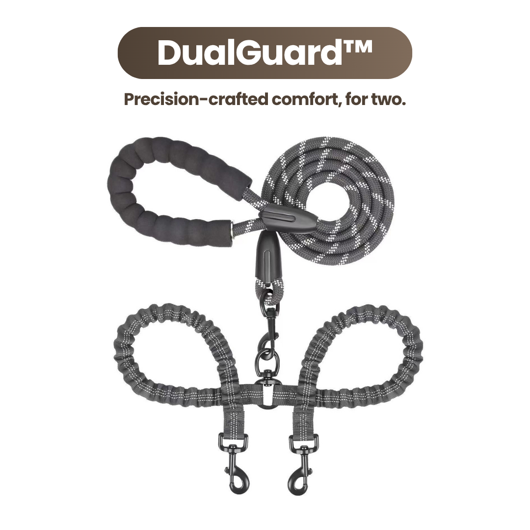 DualGuard™ | Heavy Duty Dog Leash with Shock Absorbing Bungee