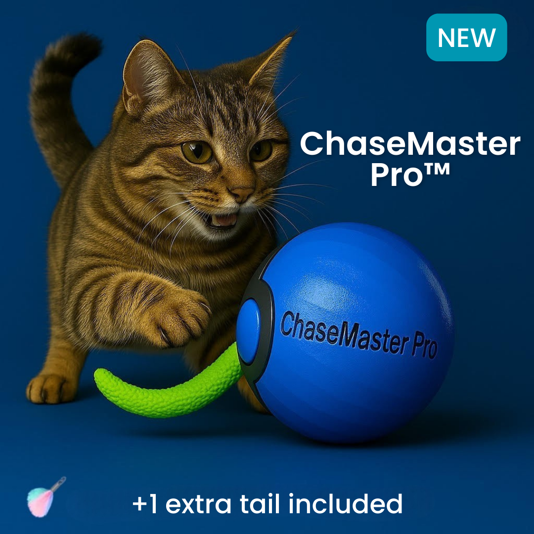 ChaseMaster Pro™ | Unleash endless fun for every cat