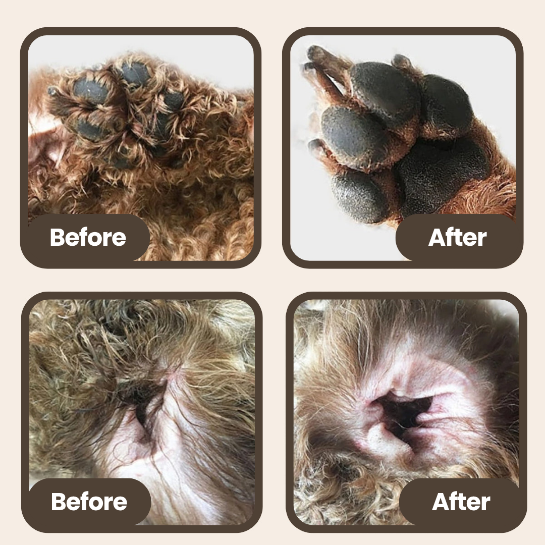 PawBlade™ | Precision Pet Trimmer