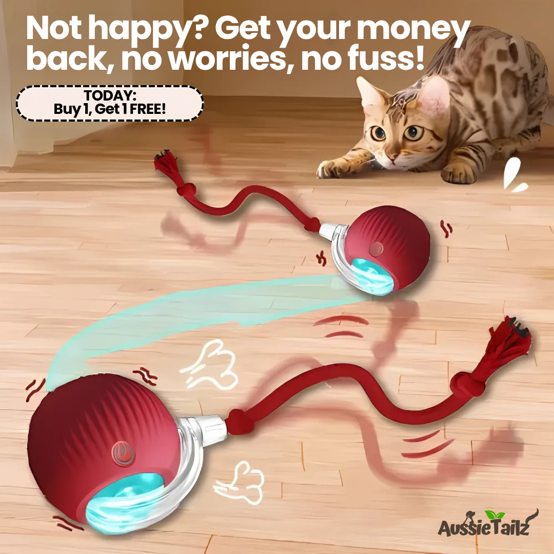 SmartBall™ | Interactive Cat Toy
