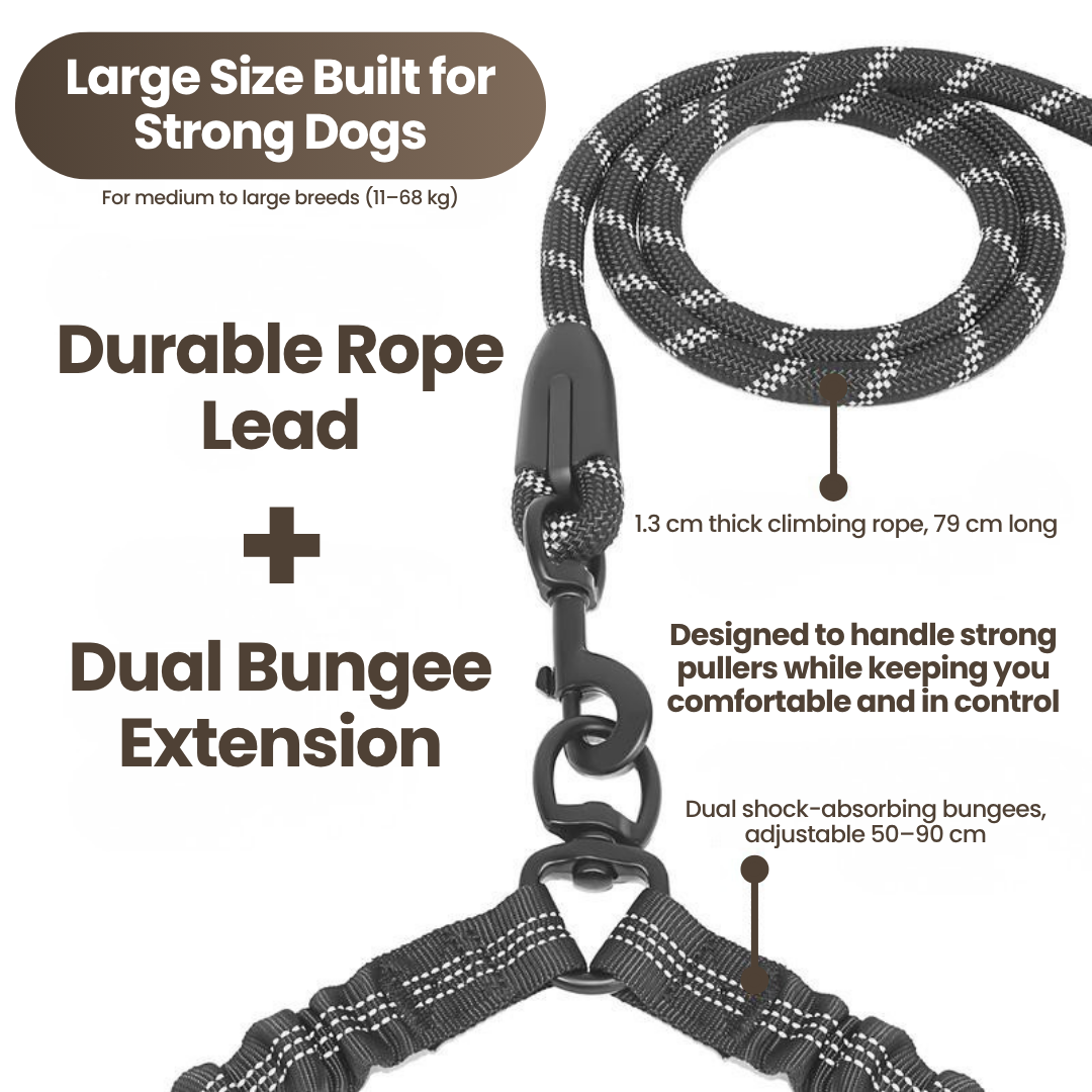 DualGuard™ | Heavy Duty Dog Leash with Shock Absorbing Bungee