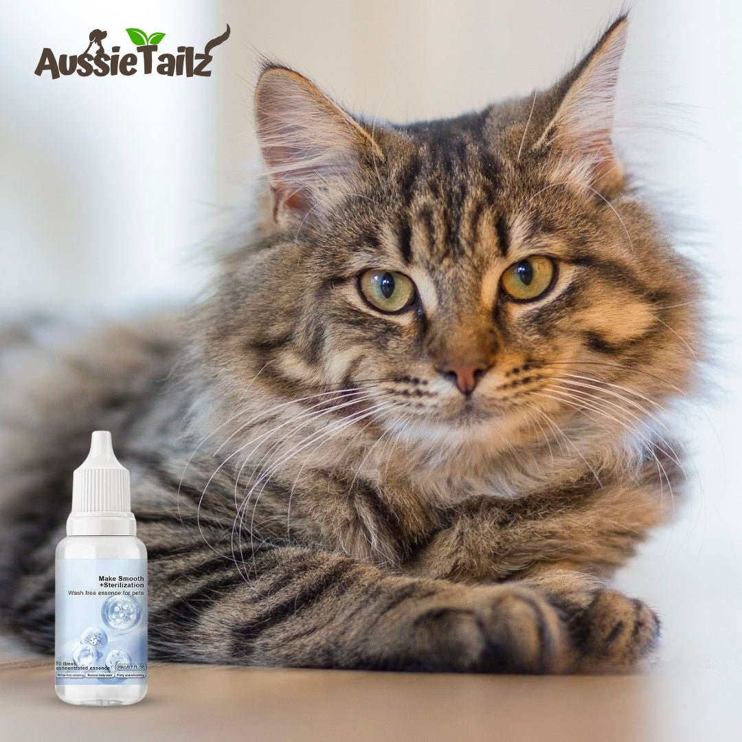 Fur-Refreshing Shampoo Drops For All Coat Types