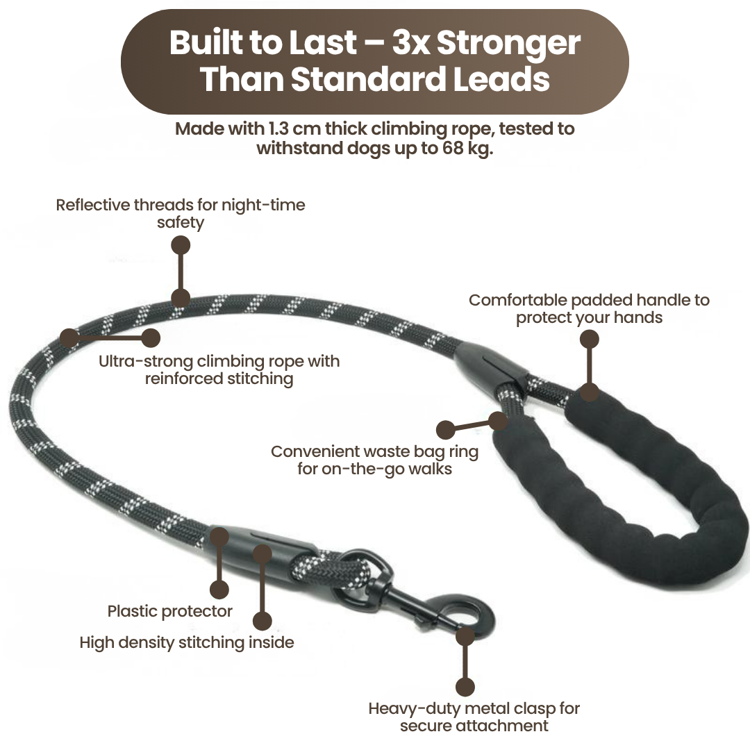DualGuard™ | Heavy Duty Dog Leash with Shock Absorbing Bungee