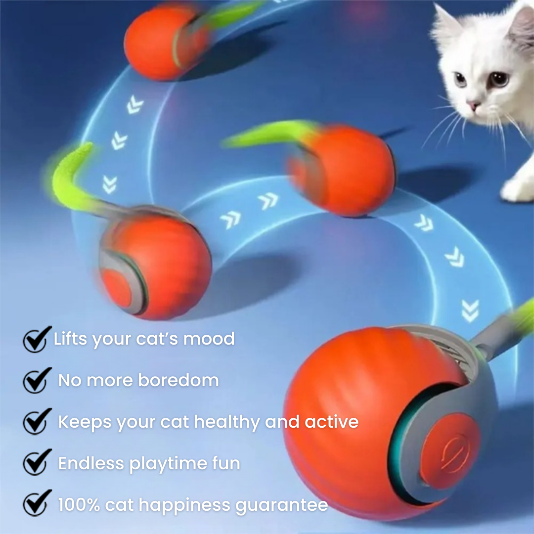 ChaseMaster Pro™ | Unleash endless fun for every cat