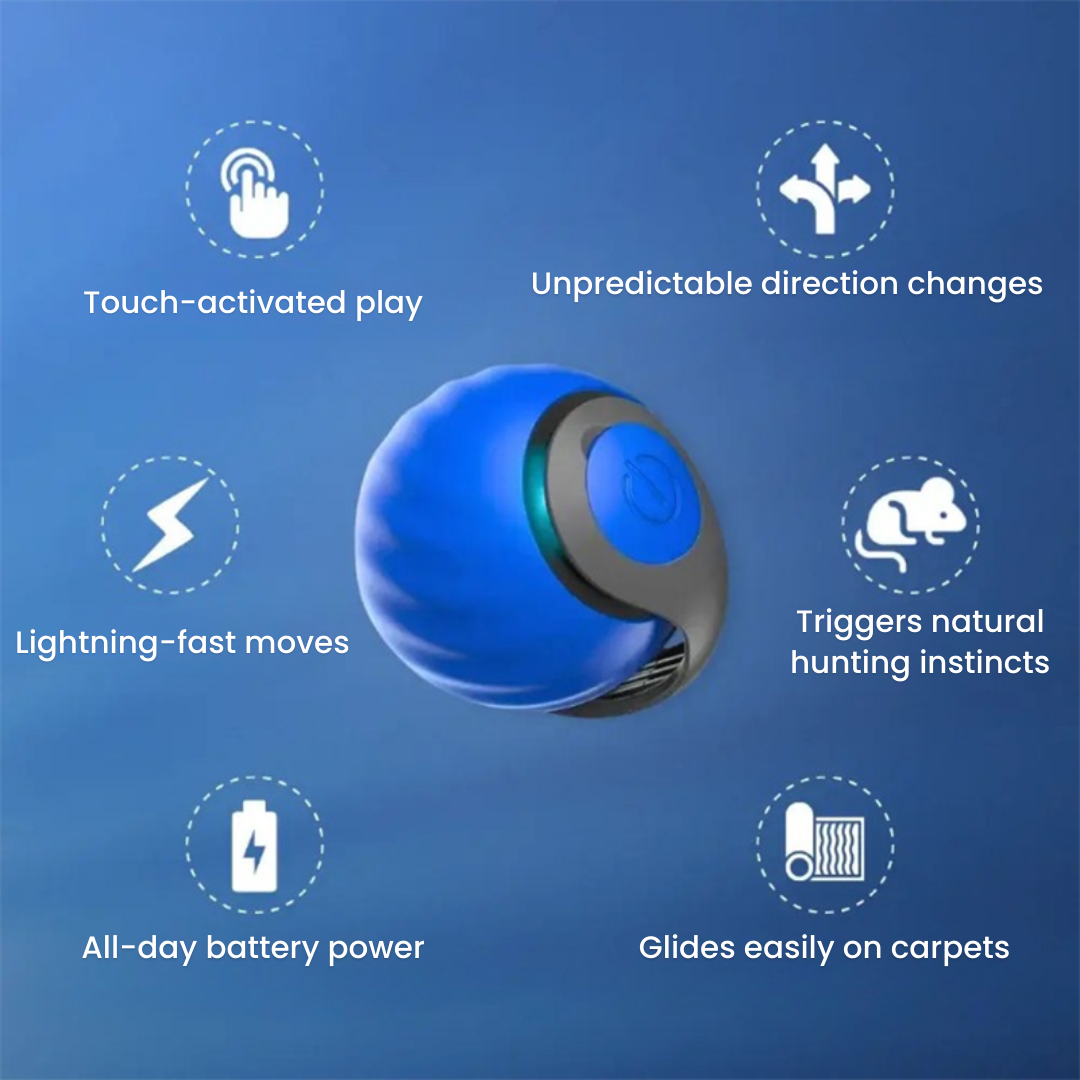 ChaseMaster Pro™ | Unleash endless fun for every cat