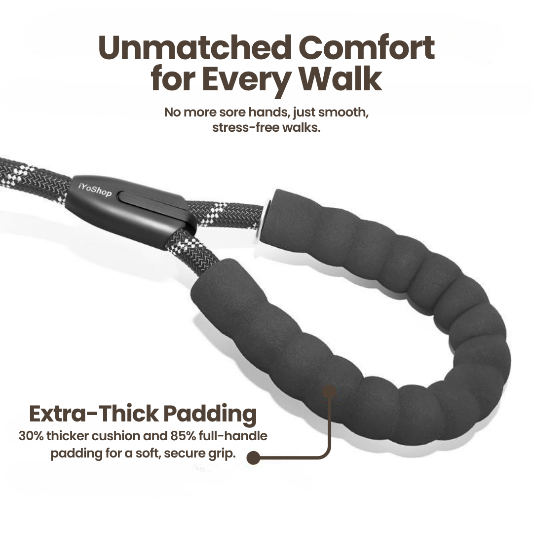 DualGuard™ | Heavy Duty Dog Leash with Shock Absorbing Bungee