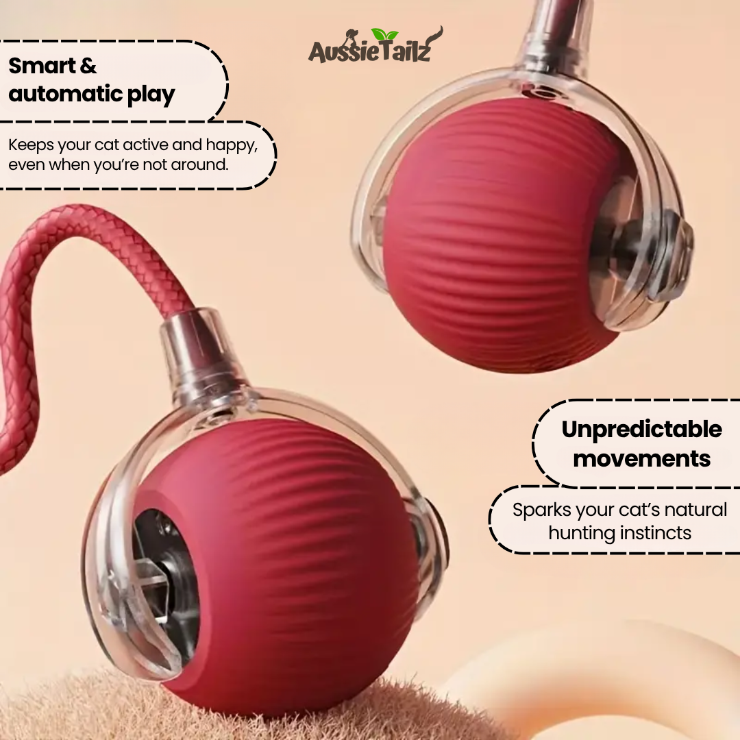 SmartBall™ | Interactive Cat Toy