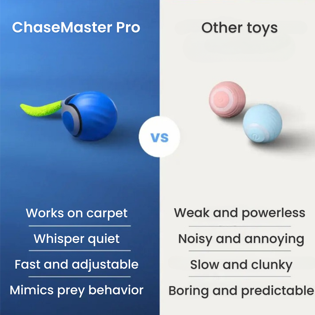 ChaseMaster Pro™ | Unleash endless fun for every cat