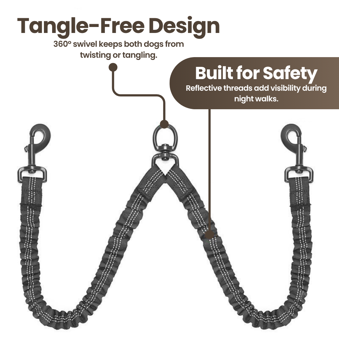 DualGuard™ | Heavy Duty Dog Leash with Shock Absorbing Bungee