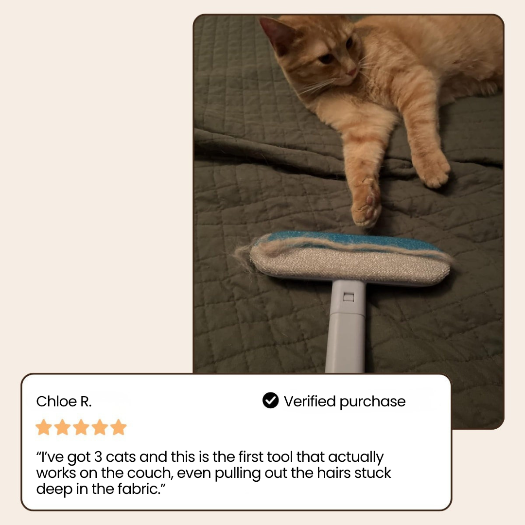 MultiSwipe Pro™ | 3-in-1 Pet Hair Remover