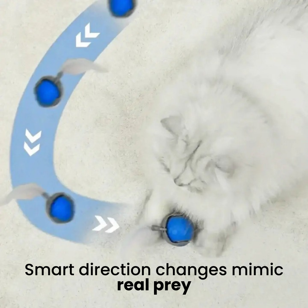 ChaseMaster Pro™ | Unleash endless fun for every cat