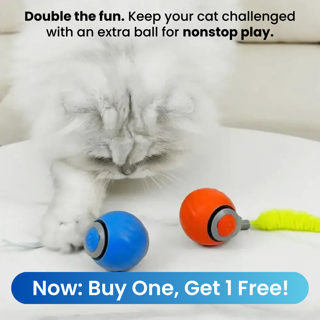 ChaseMaster Pro™ | Unleash endless fun for every cat