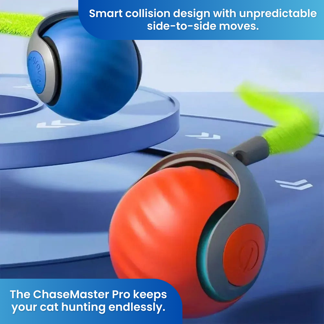 ChaseMaster Pro™ | Unleash endless fun for every cat