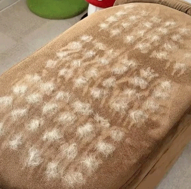 PawSwipe™ | Instant Fur Removal