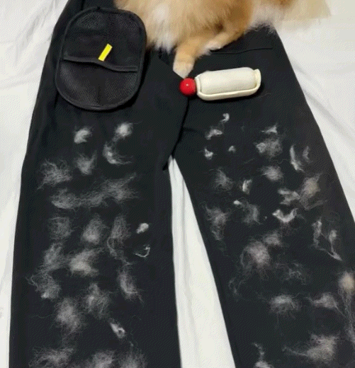 PawSwipe™ | Instant Fur Removal