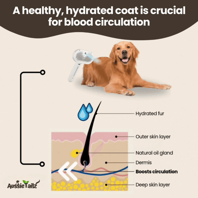 SteamiPro™ | The Ultimate Pet Grooming Brush