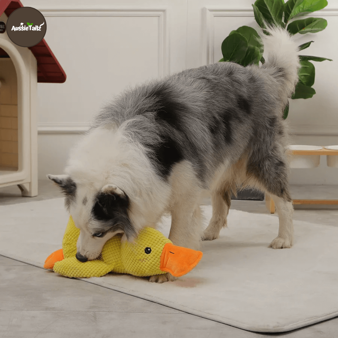 Quackie™ | The calming duck that melts stress away