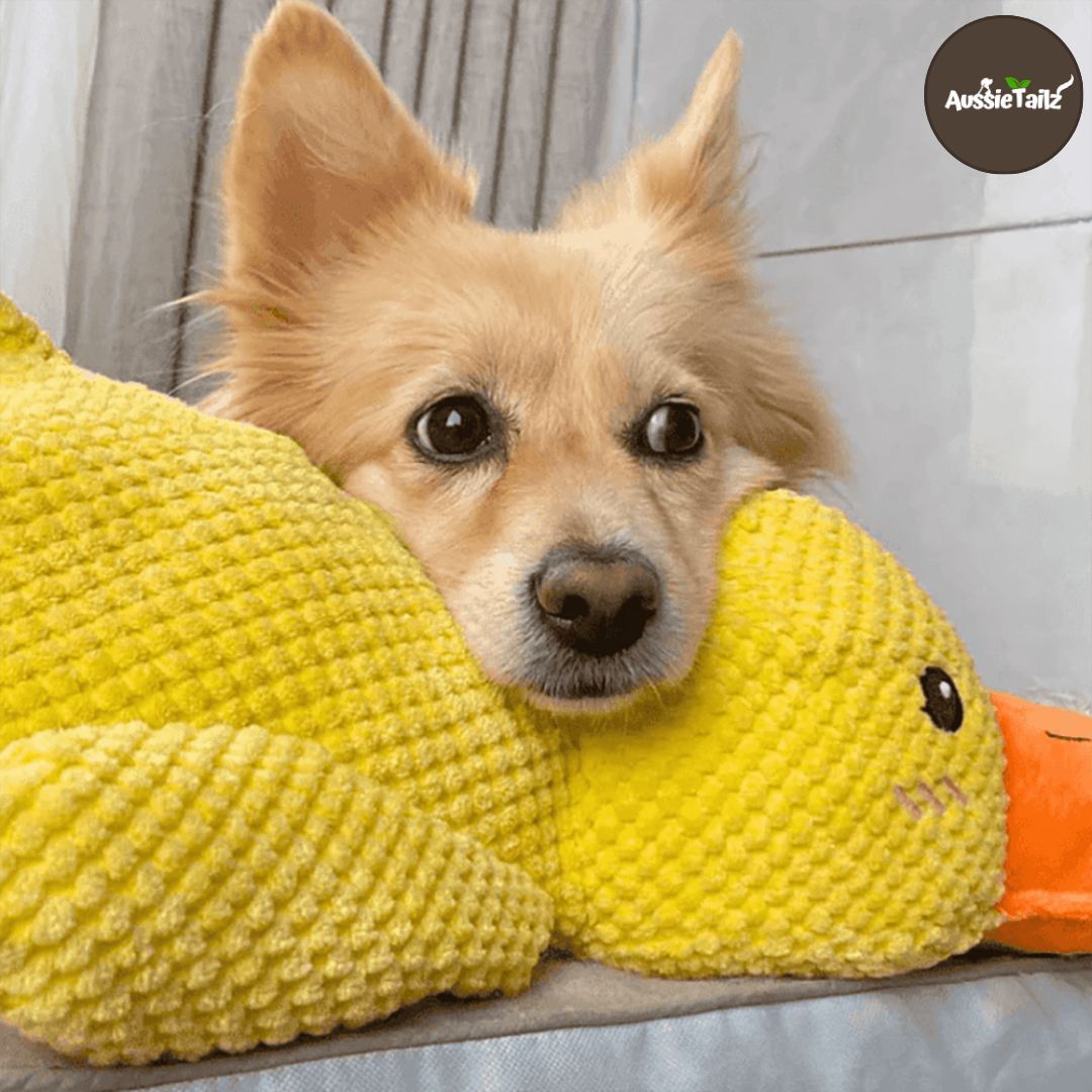 Quackie™ | The calming duck that melts stress away