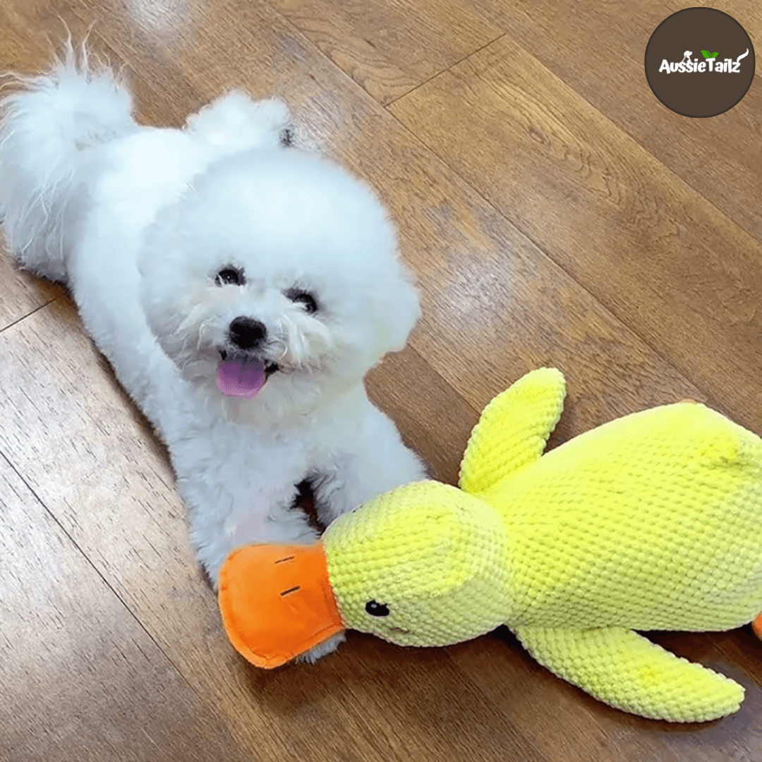 Quackie™ | The calming duck that melts stress away