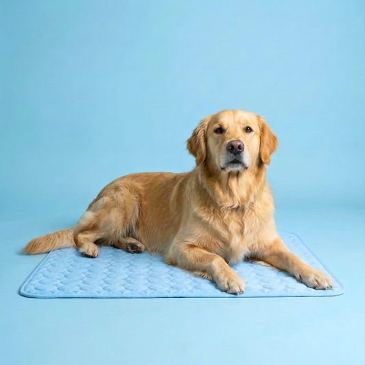 IcyNap™ | Protect Your Dog From Overheating With Continuous Heat Conduction