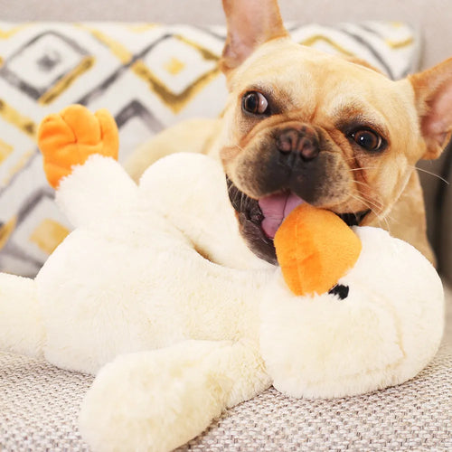 Plush Duck Dog Toy