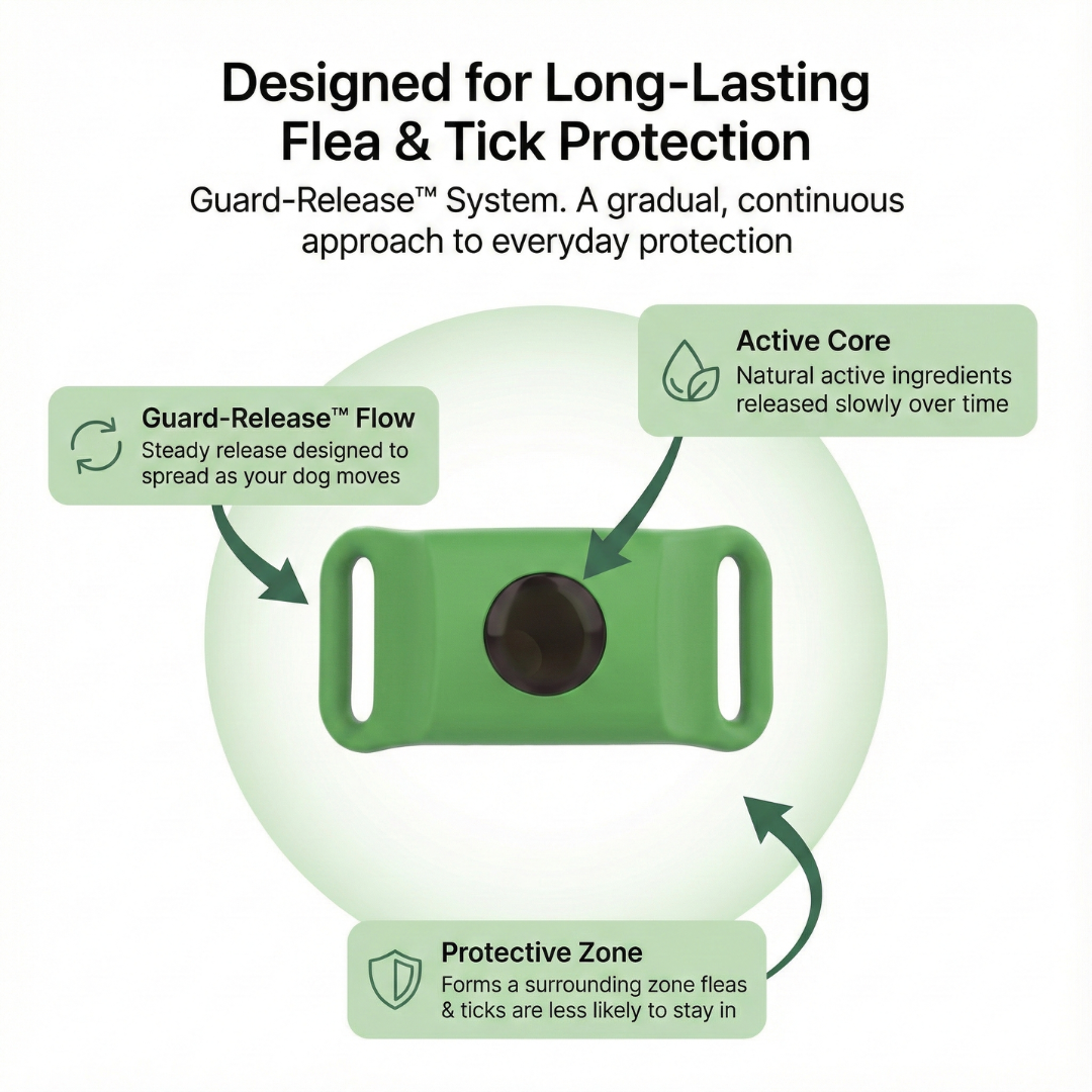 PestRepel™ | 12-Month Flea & Tick Protection