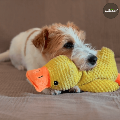 Quackie™ | The calming duck that melts stress away