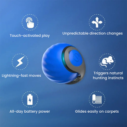 ChaseMaster Pro™ | Unleash endless fun for every cat