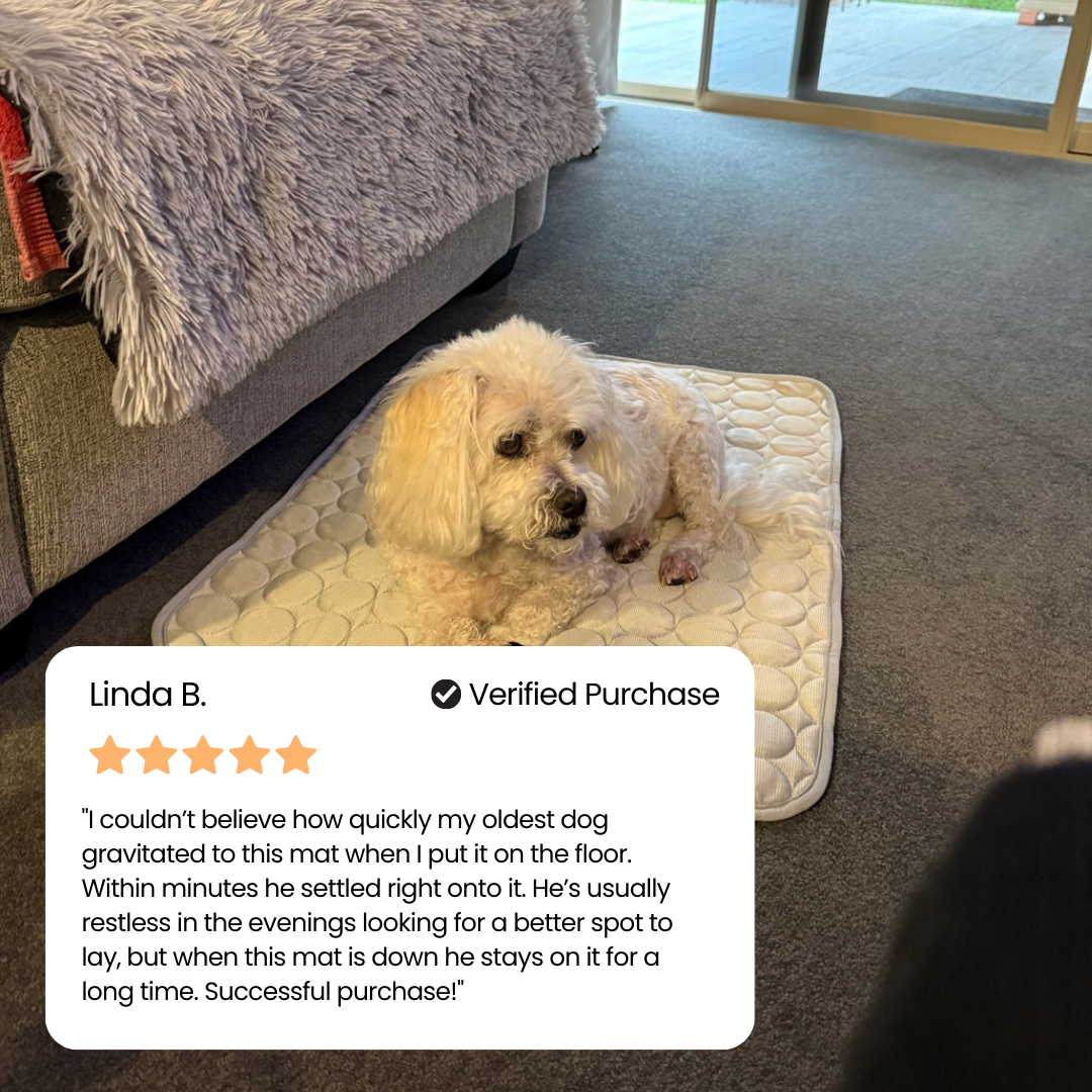 IcyNap™ | Protect Your Dog From Overheating With Continuous Heat Conduction