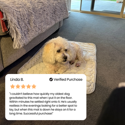 IcyNap™ | Protect Your Dog From Overheating With Continuous Heat Conduction