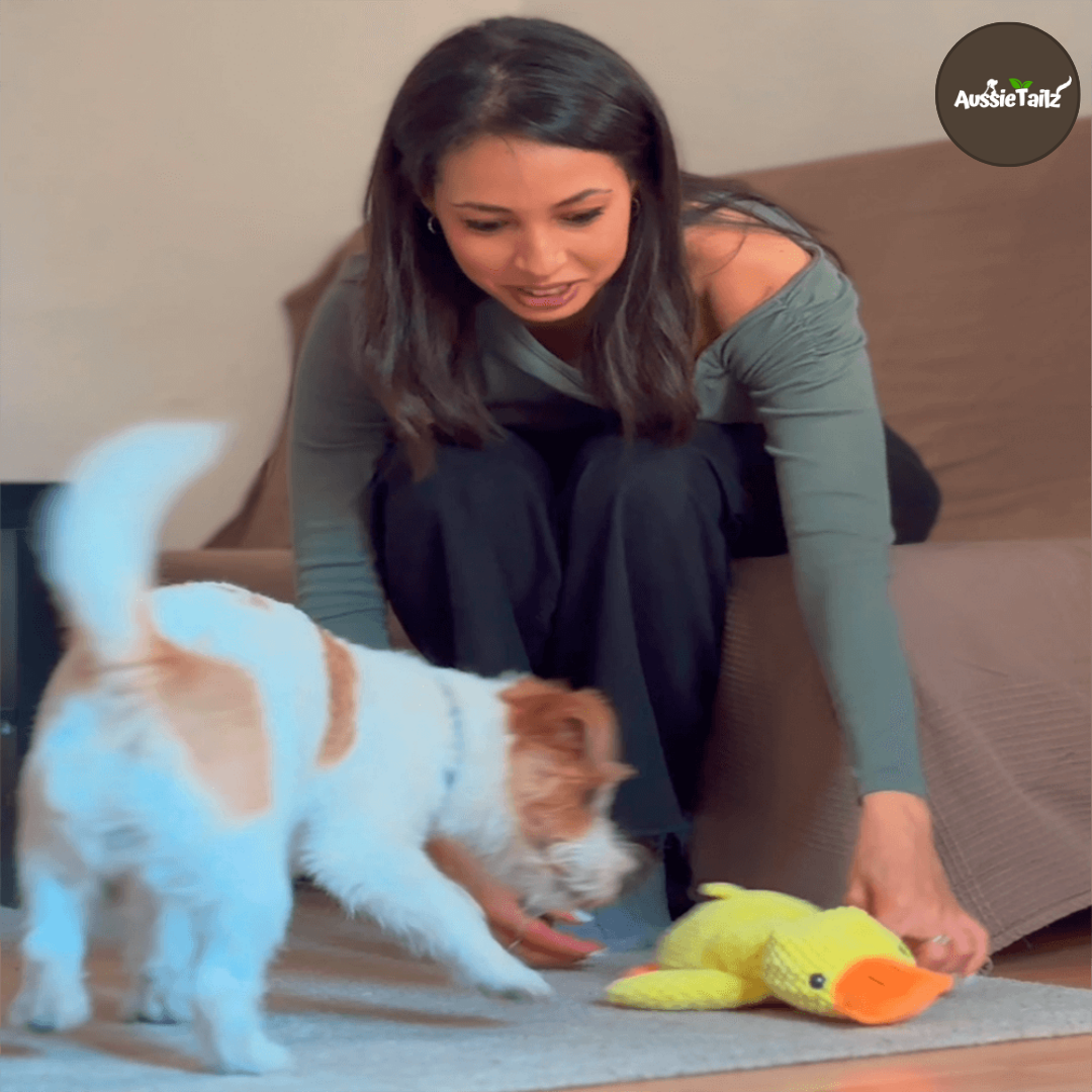 Quackie™ | The calming duck that melts stress away