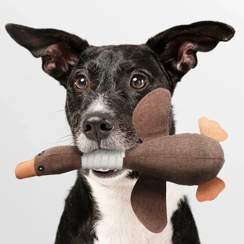 Robust Dog Chew Toy
