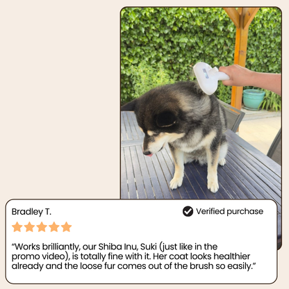 SteamiPro™ | The Ultimate Pet Grooming Brush