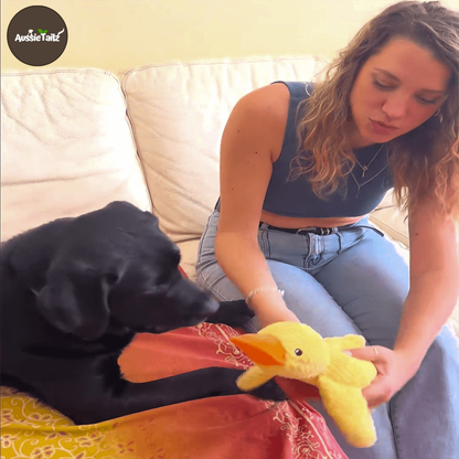 Quackie™ | The calming duck that melts stress away