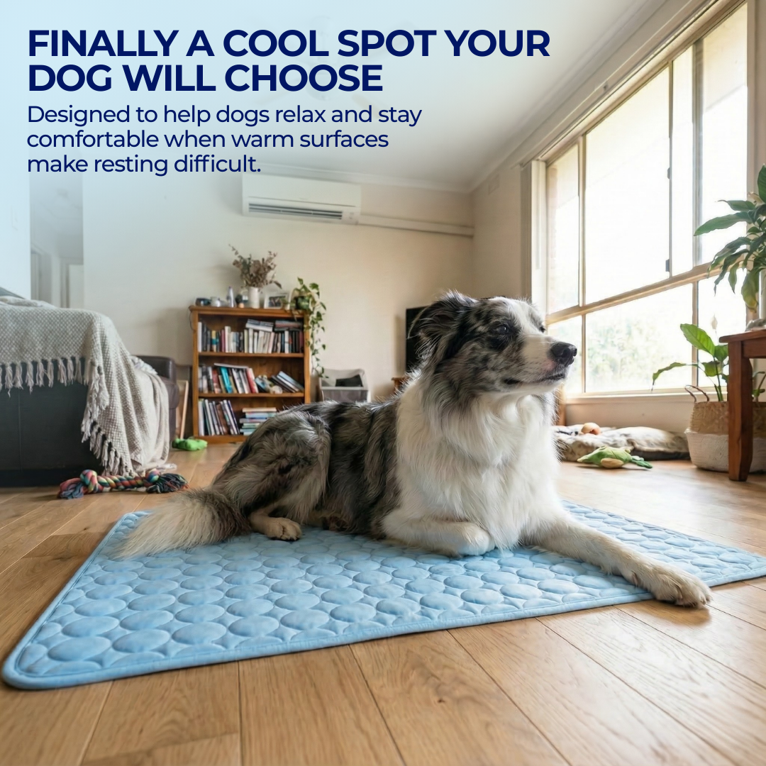 IcyNap™ | Protect Your Dog From Overheating With Continuous Heat Conduction