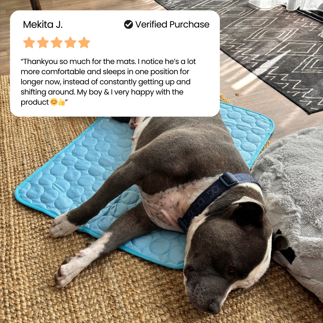 IcyNap™ | Protect Your Dog From Overheating With Continuous Heat Conduction