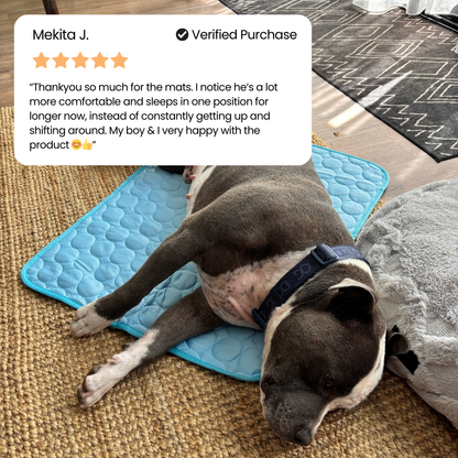 IcyNap™ | Protect Your Dog From Overheating With Continuous Heat Conduction