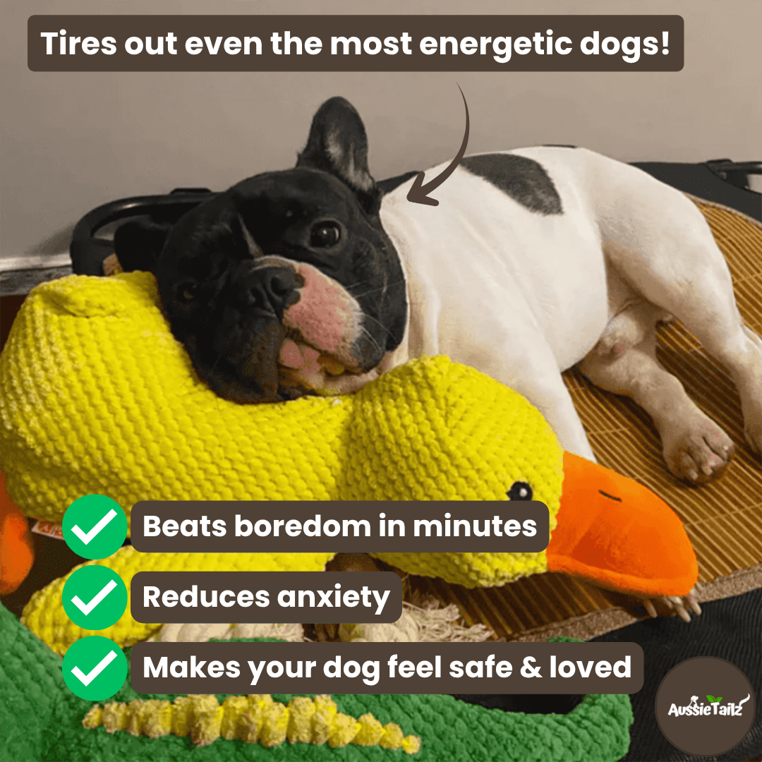 Quackie™ | The calming duck that melts stress away