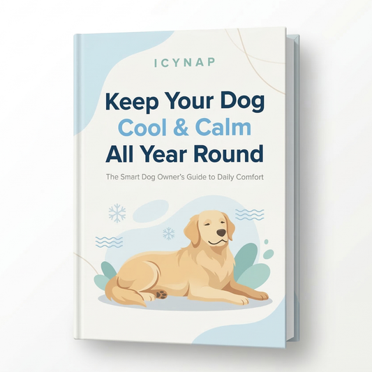 Cool & Calm Digital Guide