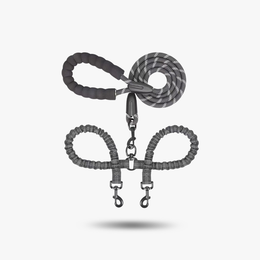 DualGuard™ | Heavy Duty Dog Leash with Shock Absorbing Bungee