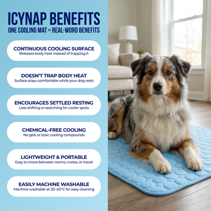 IcyNap™ | Protect Your Dog From Overheating With Continuous Heat Conduction