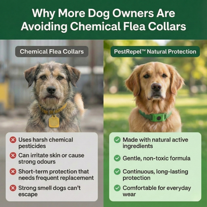 PestRepel™ | 12-Month Flea & Tick Protection