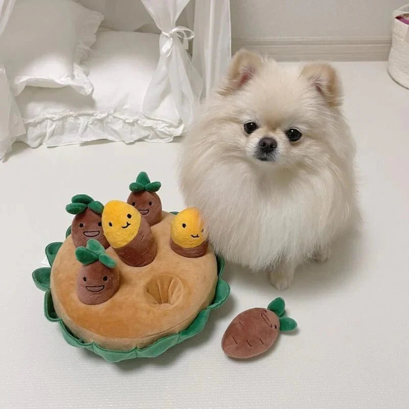 Potato Dog Toy