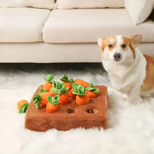 Carrot Farm Dog Toy